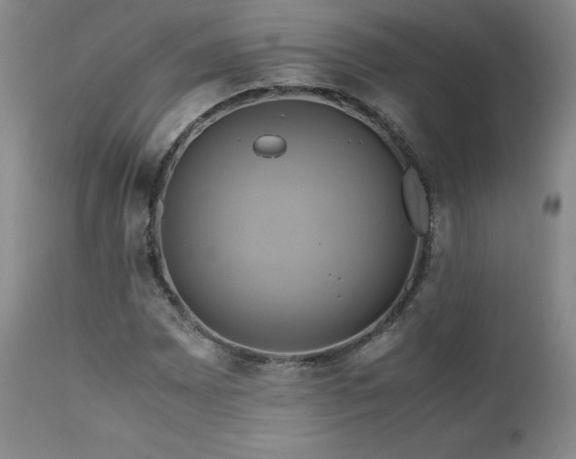 X0000110971065200906191330