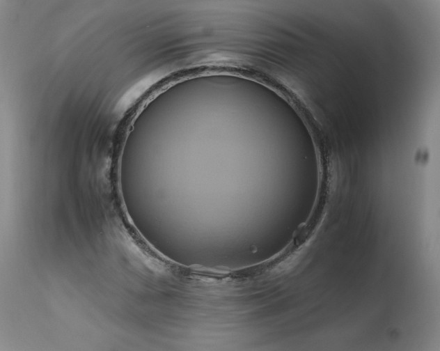 X0000110971066200906191330