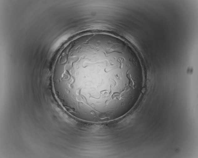 X0000110971067200906191330