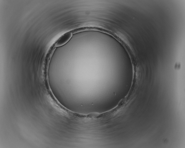 X0000110971068200906191330