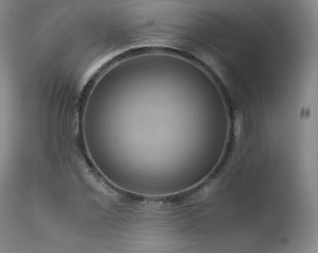 X0000110971069200906191330