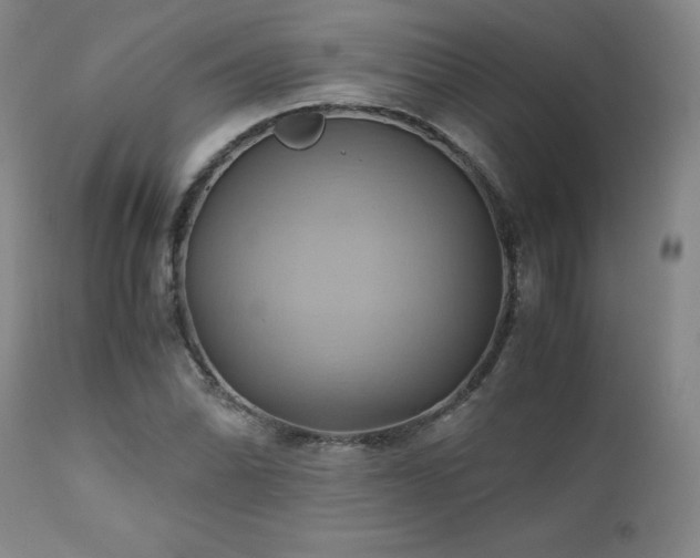 X0000110971070200906191330