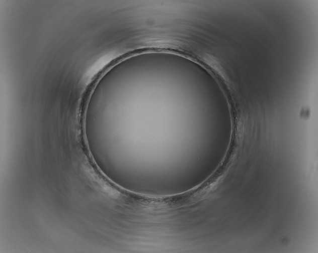 X0000110971071200906191330