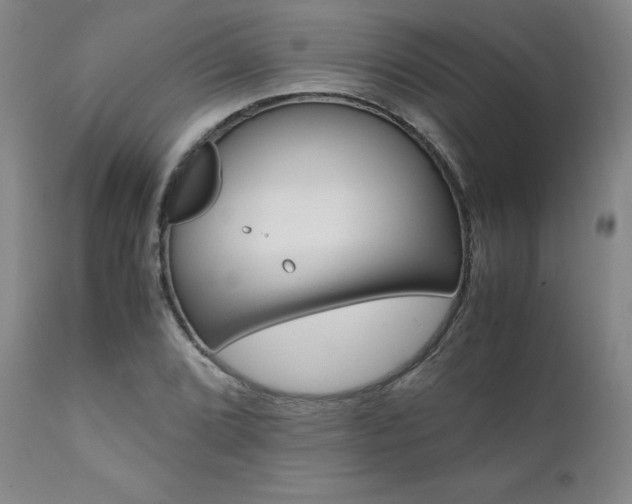 X0000110971072200906191330