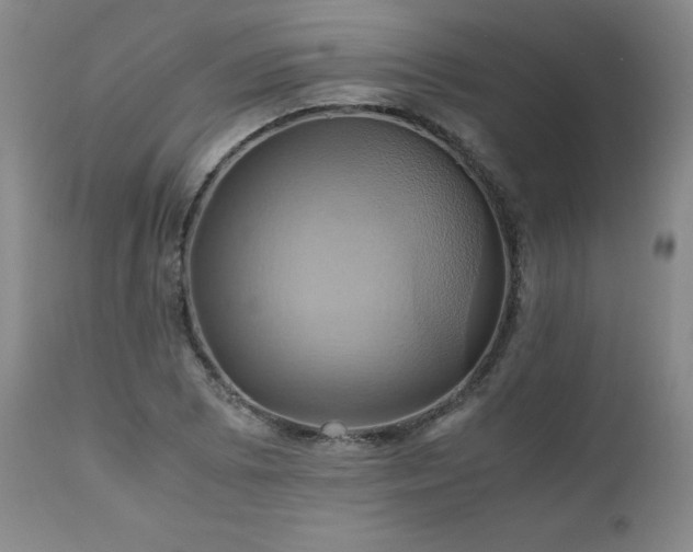 X0000110971073200906191330