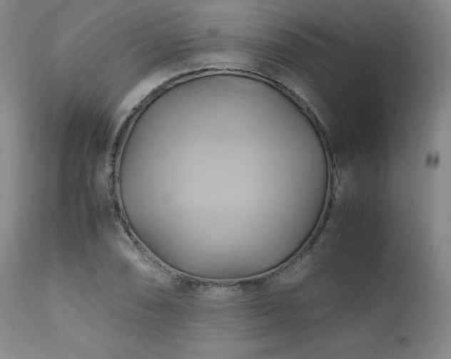 X0000110971074200906191330