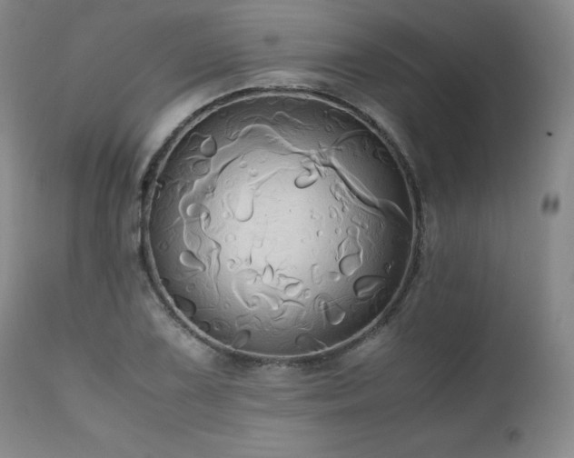 X0000110971075200906191330