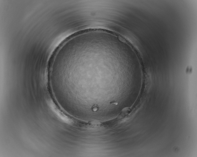 X0000110971076200906191330