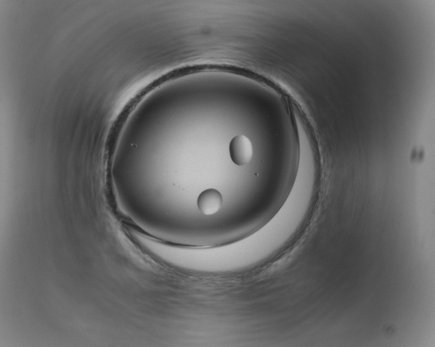 X0000110971077200906191330