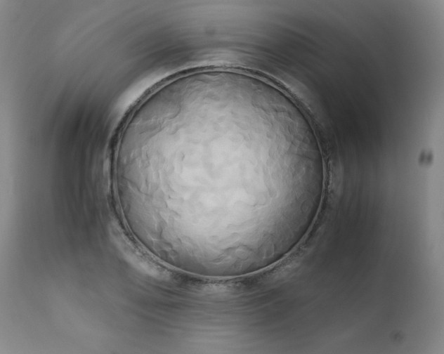 X0000110971078200906191330