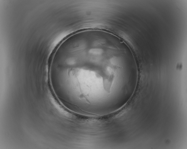 X0000110971079200906191330