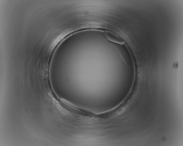 X0000110971081200906191330