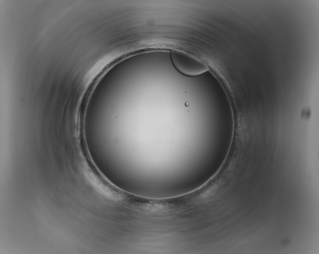 X0000110971082200906191330