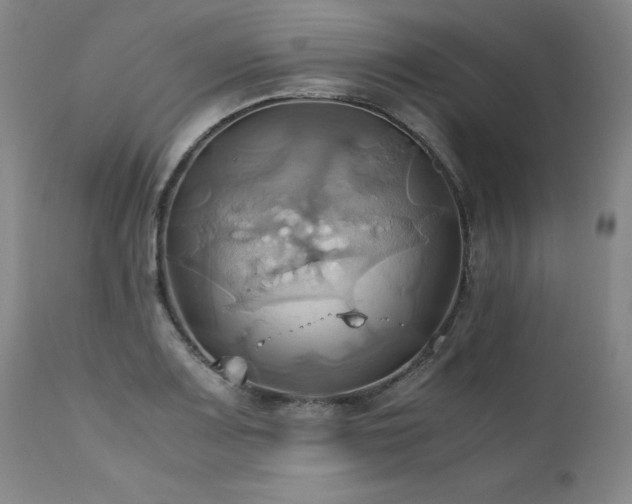 X0000110971083200906191330