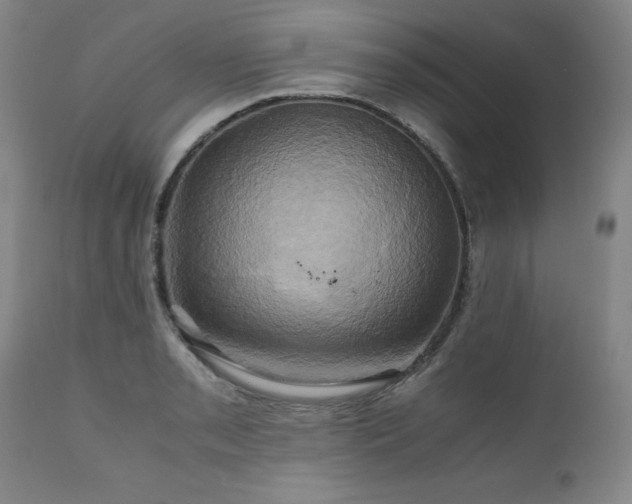 X0000110971085200906191330