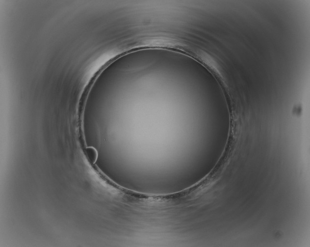 X0000110971087200906191330