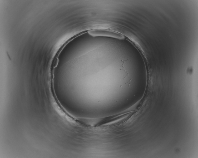 X0000110971088200906191330