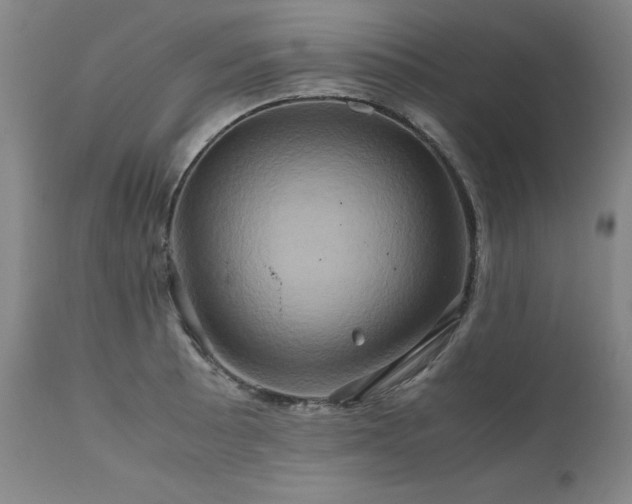 X0000110971089200906191330