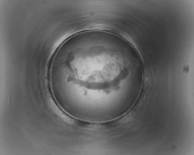 X0000110971091200906191330