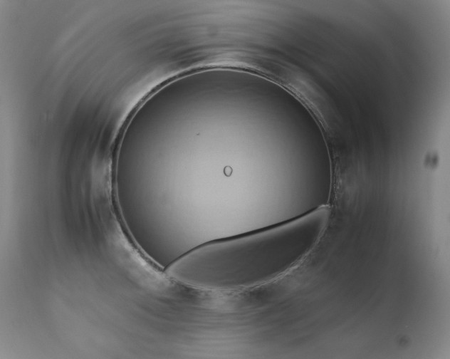 X0000110971092200906191330