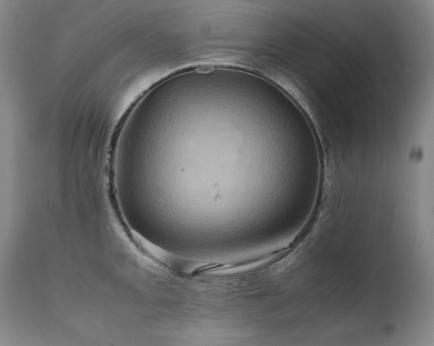 X0000110971093200906191330