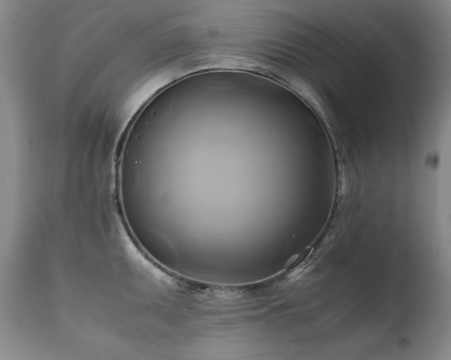 X0000110971095200906191330