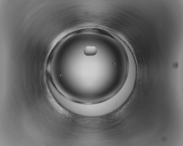 X0000110971098200906191329