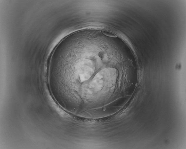 X0000110971099200906191329