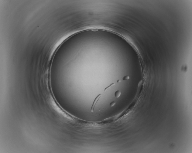 X0000110971100200906191329