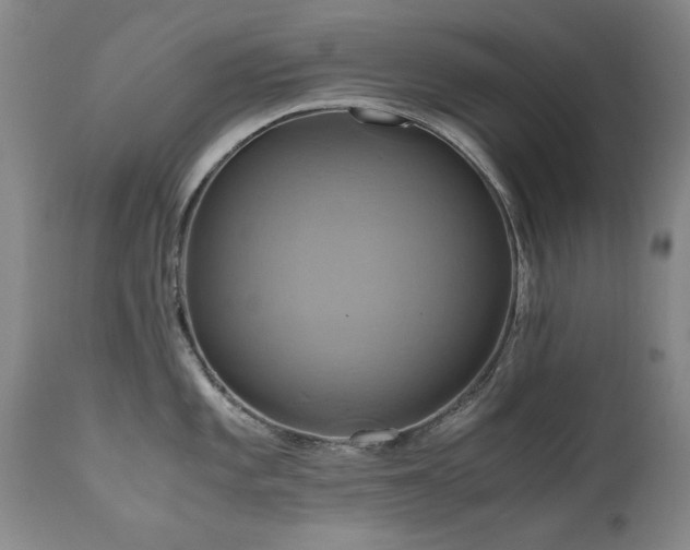 X0000110971101200906191329