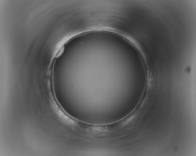 X0000110971102200906191329