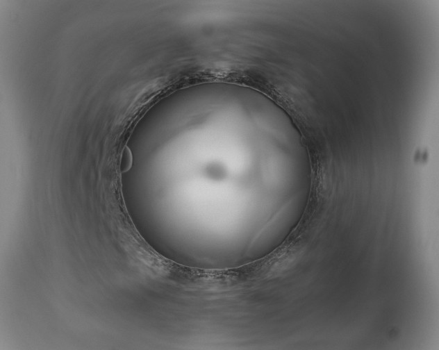 X0000110971105200906191329