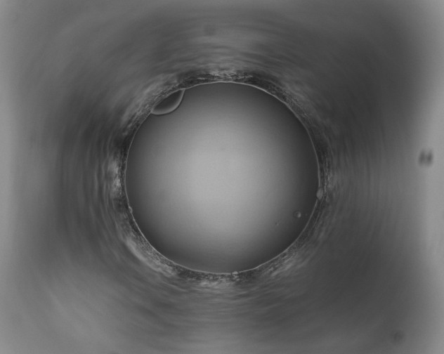 X0000110971106200906191329