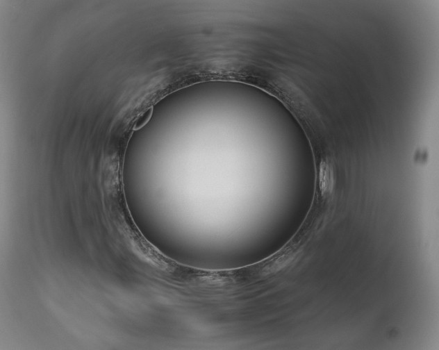 X0000110971107200906191329