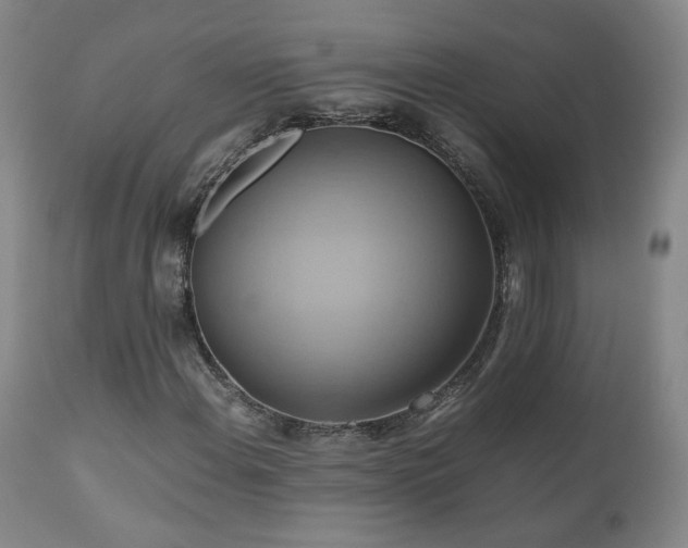 X0000110971108200906191329