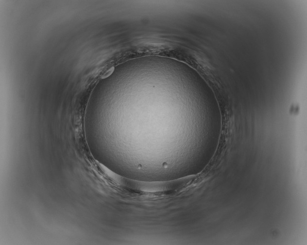 X0000110971109200906191329