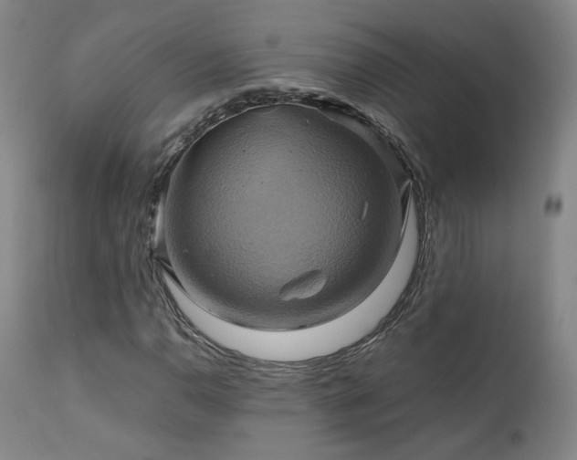 X0000110971110200906191329