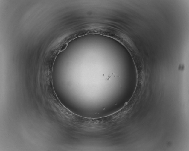 X0000110971111200906191329