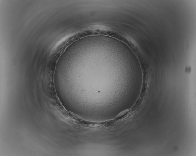 X0000110971112200906191329