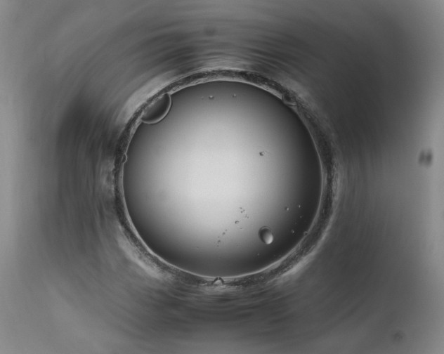 X0000110971113200906191329