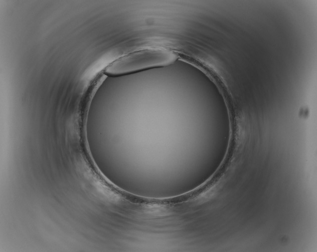 X0000110971114200906191329