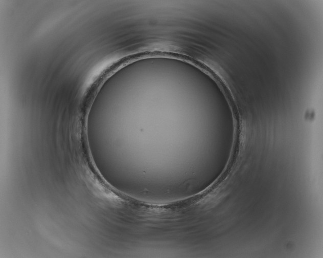 X0000110971115200906191329