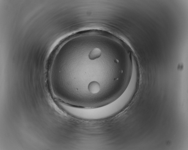 X0000110971116200906191329