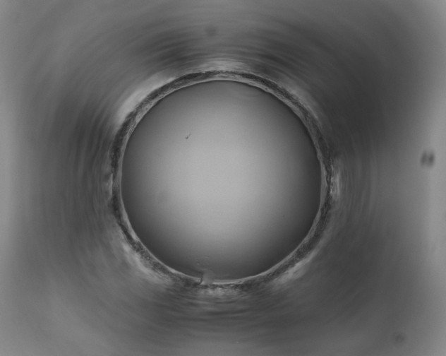 X0000110971117200906191329