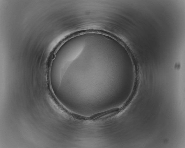 X0000110971118200906191329