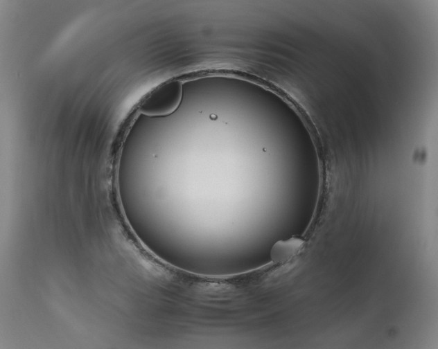 X0000110971119200906191329