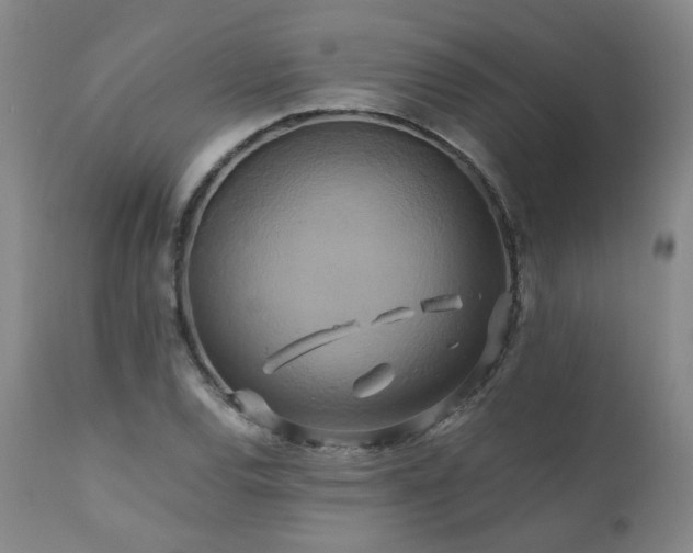 X0000110971120200906191329