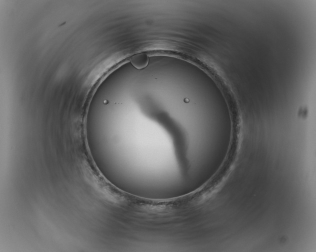 X0000110971121200906191329