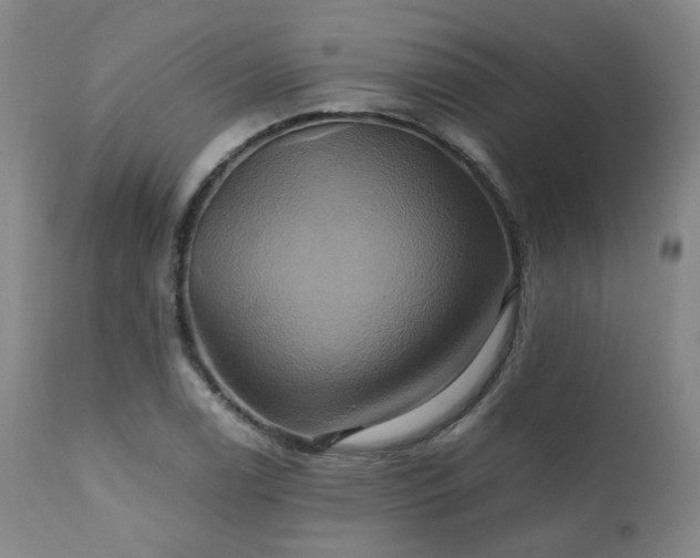 X0000110971122200906191329