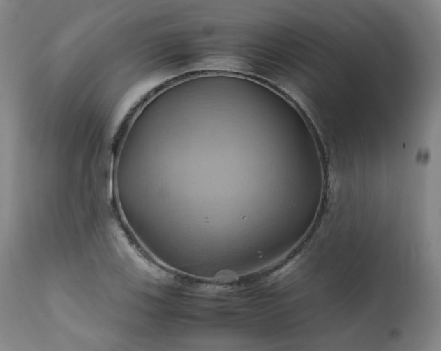 X0000110971123200906191329